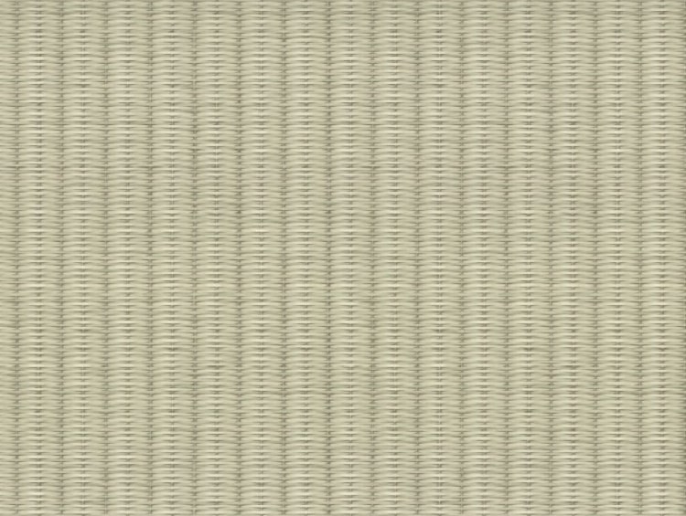Обои Trend Color 72456-27 (1,06х10)