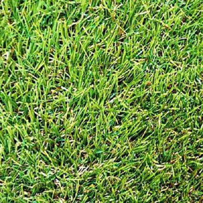 Ковролин Трава 3,0 м 35мм Fancy Grass УМ