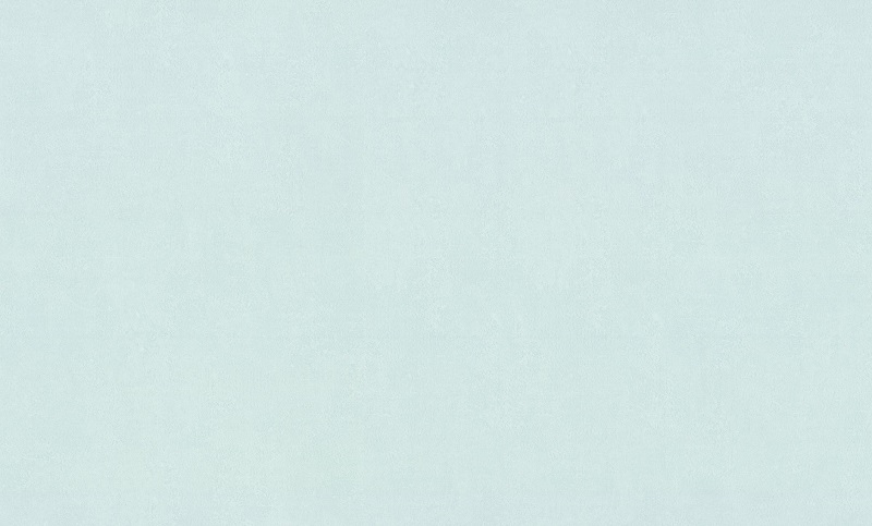 Обои Home Color 72286-16 (1,06х10)