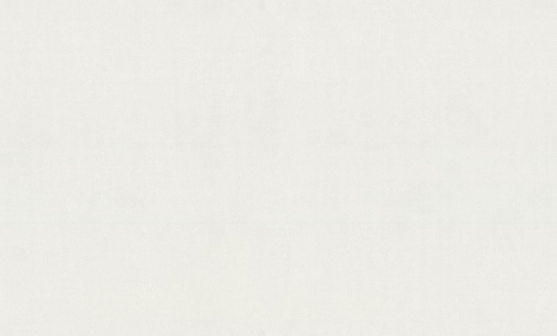 Обои Home Color 72286-14 (1,06х10)
