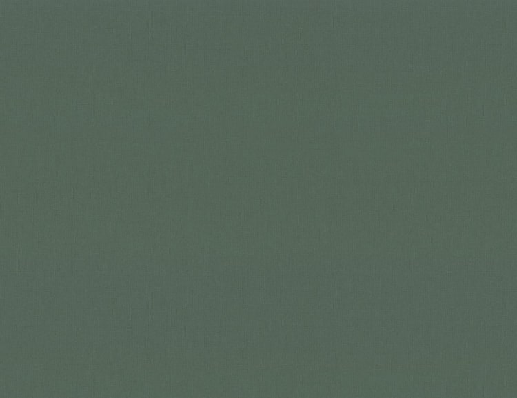 Обои Trend Color 72377-77 (1,06х10)